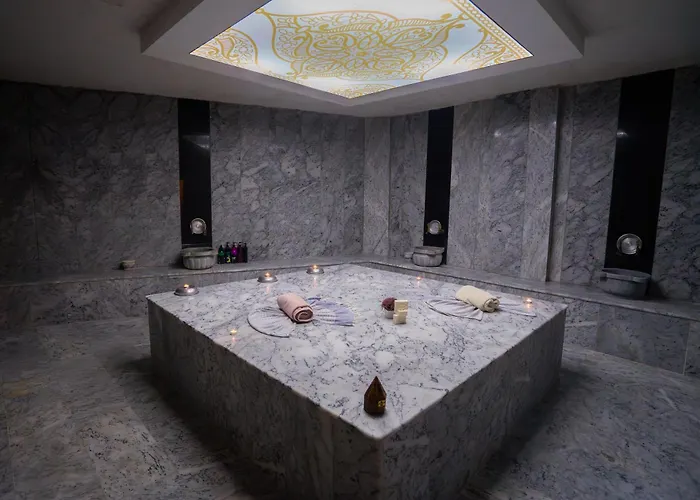 Отель Leman Деницли